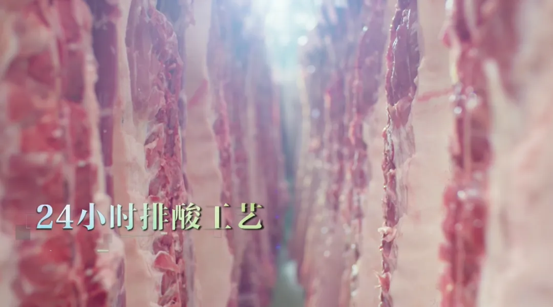 圖片26